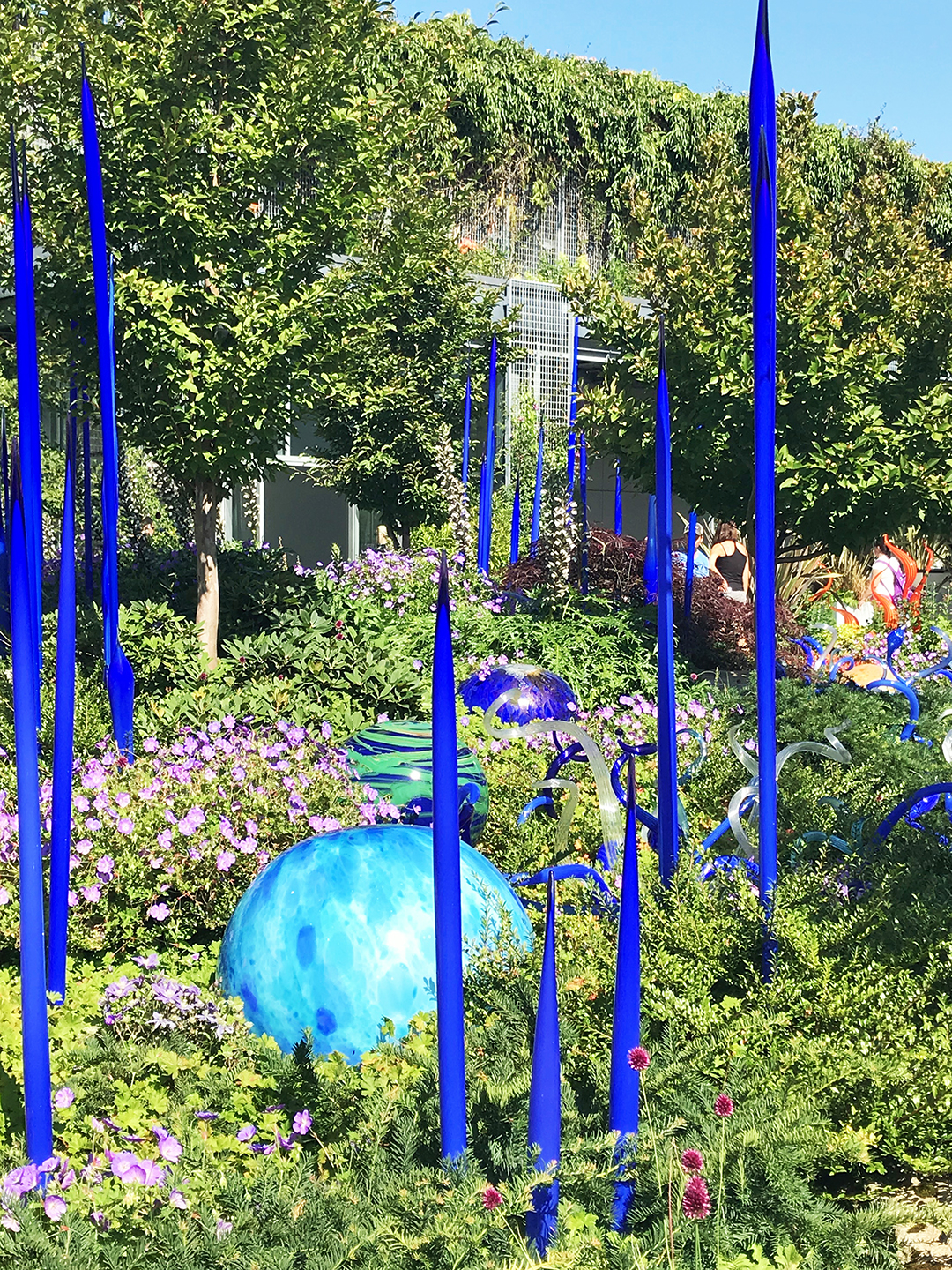 things to do in seattle with kid