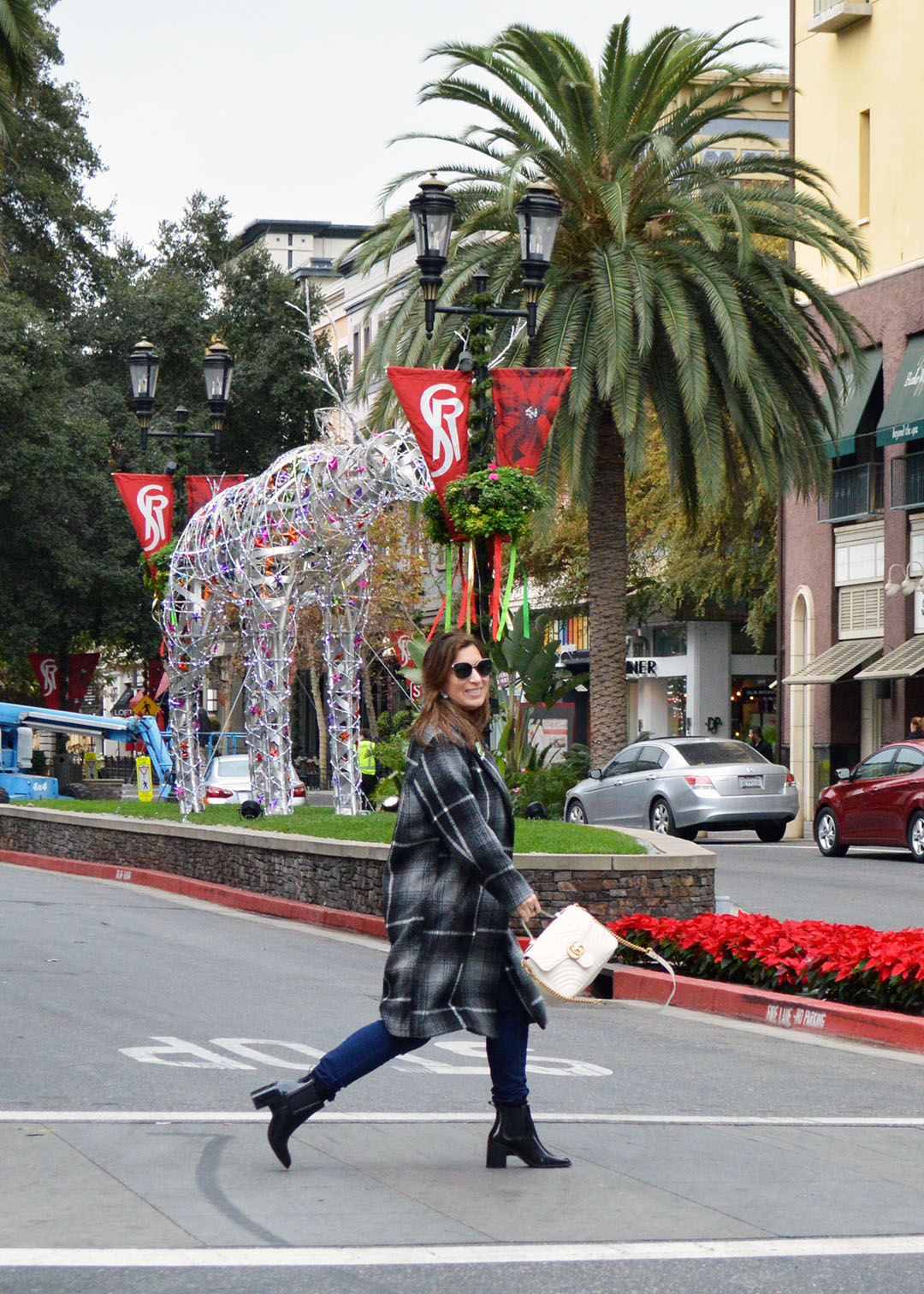 san jose holiday style