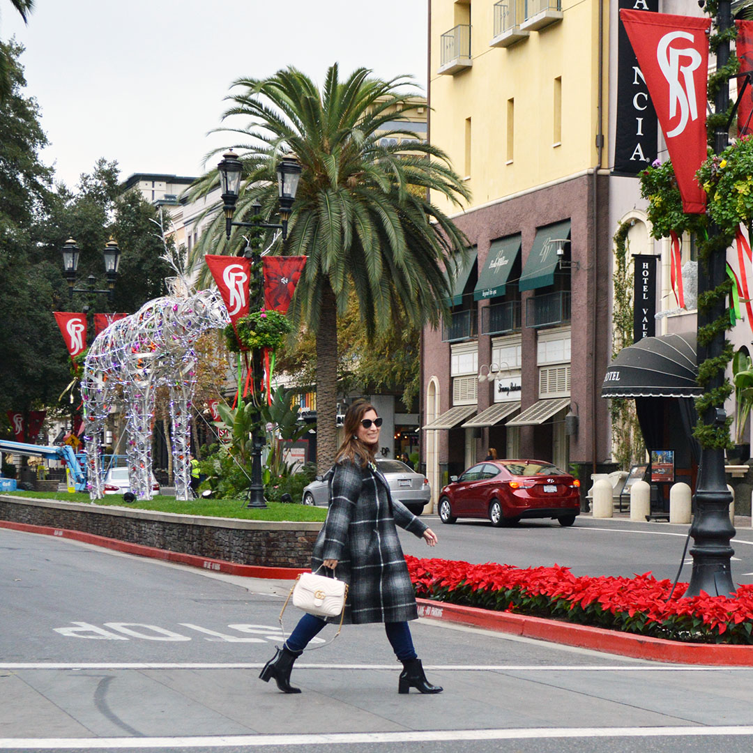 san jose winter style