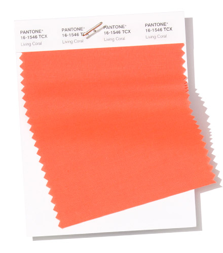 pantone living coral swatch color of 2019