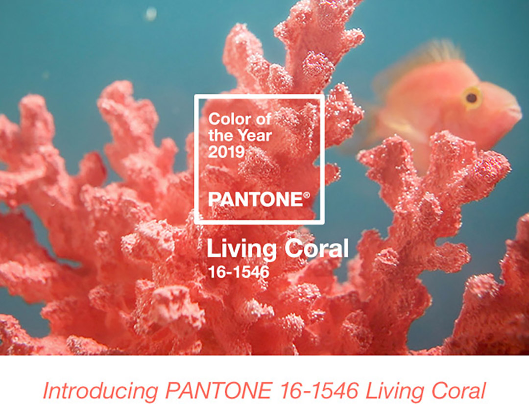 pantone color of 2019 living coral color of the year