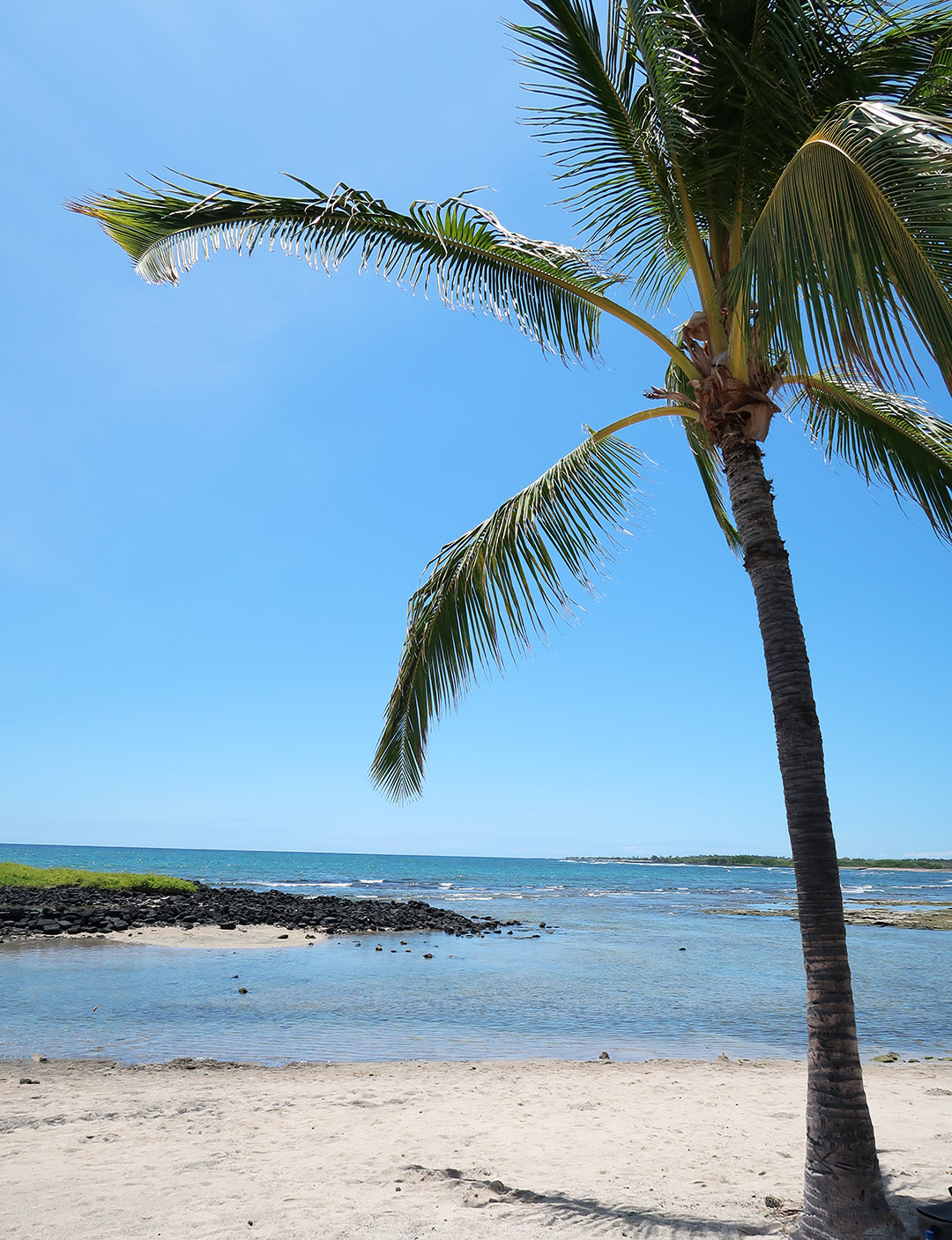 beautiful beach hawaii