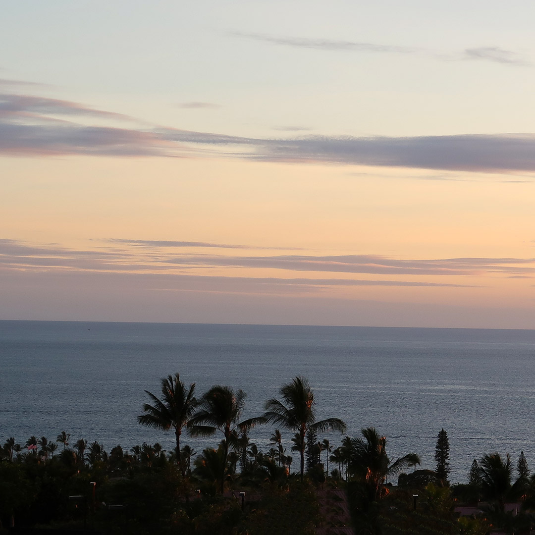 san choy's hawaiian sunset kona