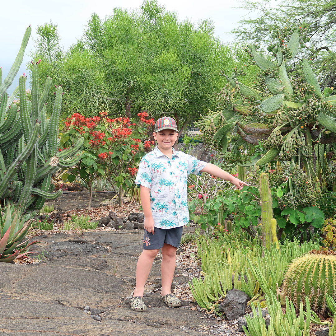 walking path kona kailua
