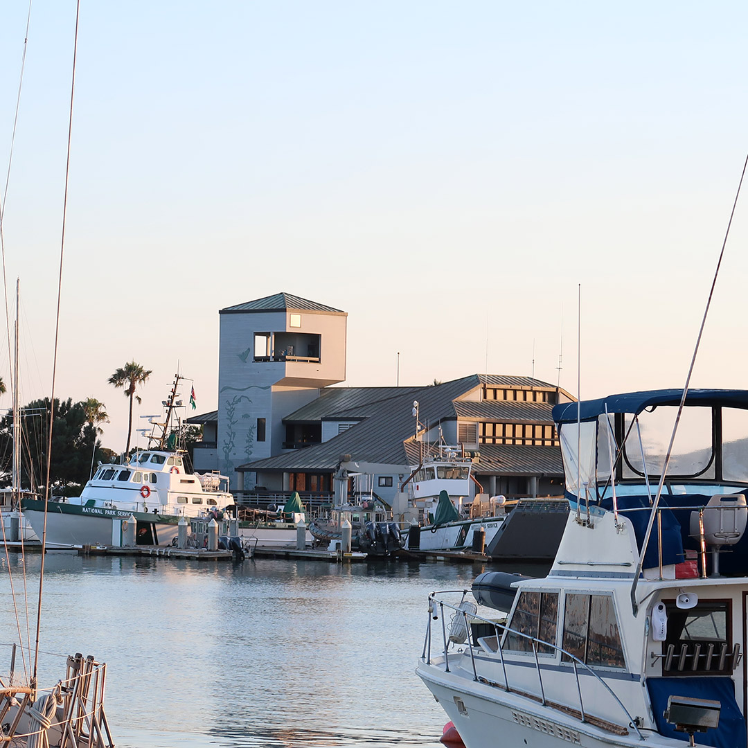 ventura boat harbor