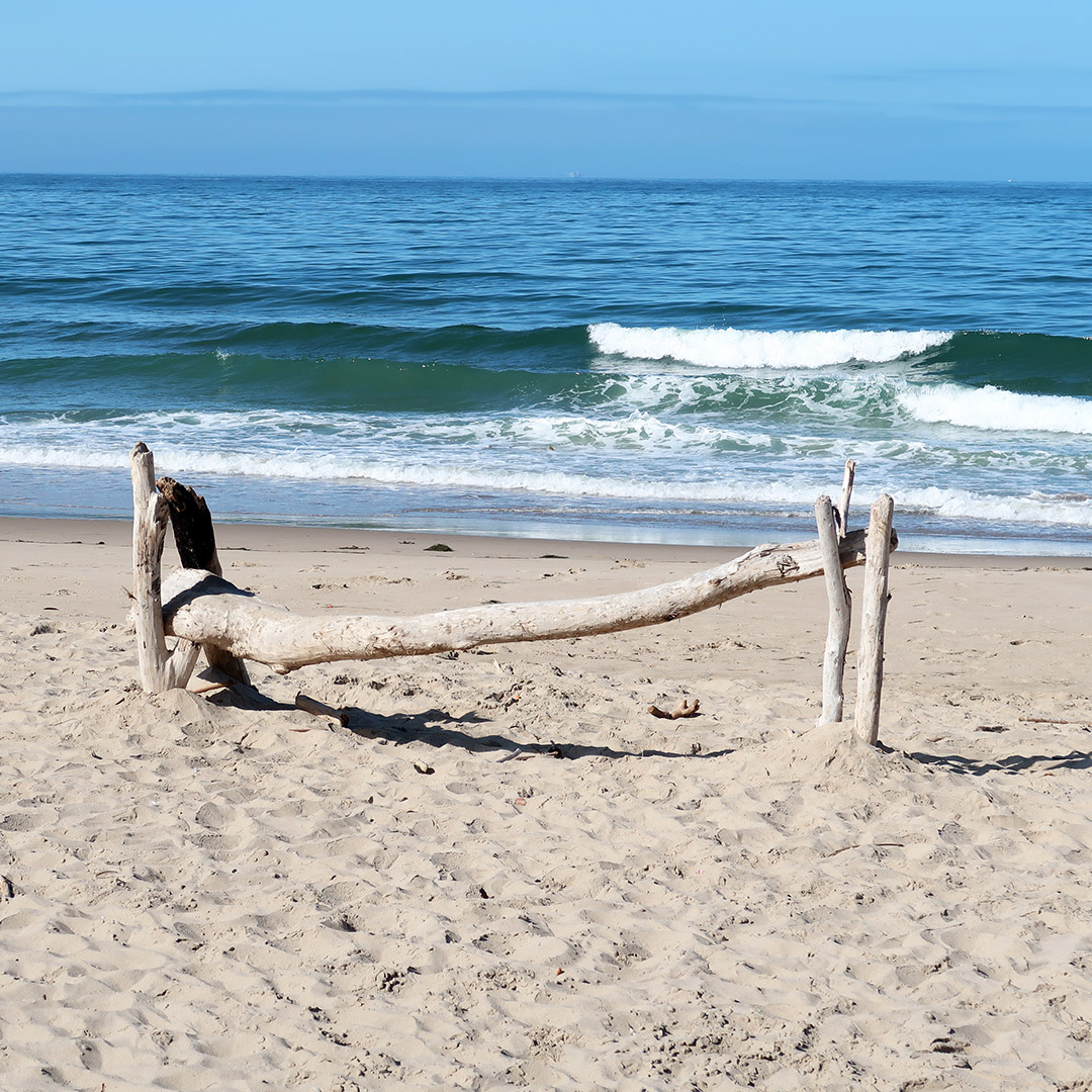emma wood state beach ventura