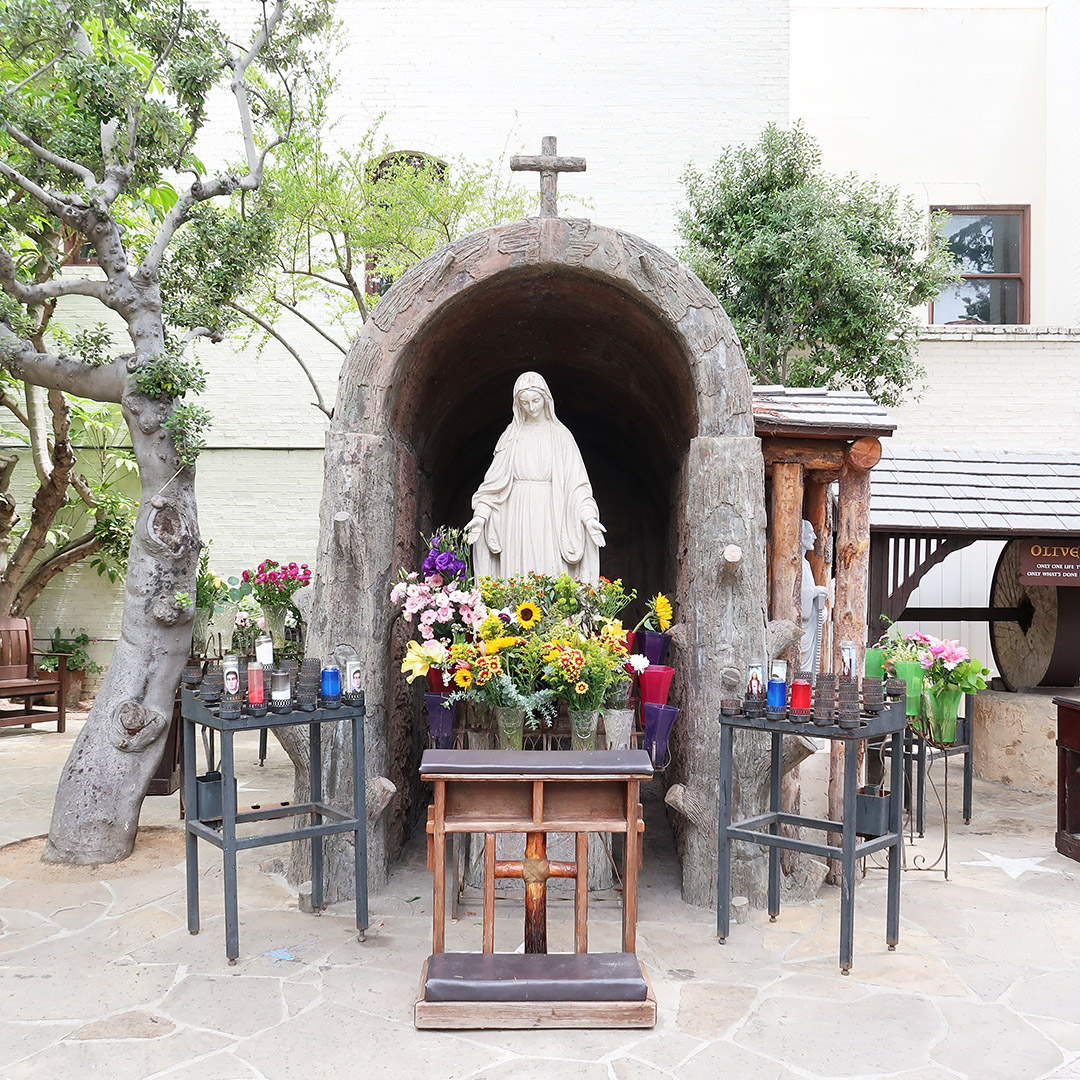 ventura mission