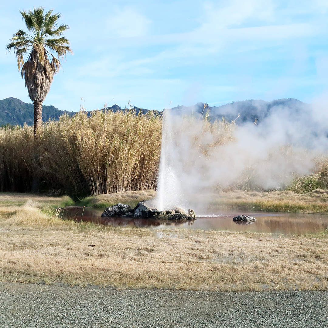 old faithful geyser calistoga review