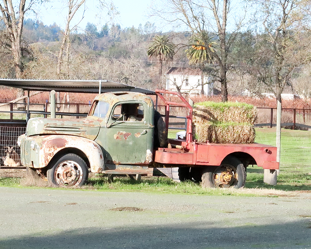 visting calistoga with kids