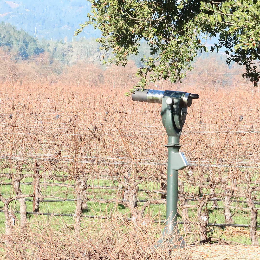 best napa wineries