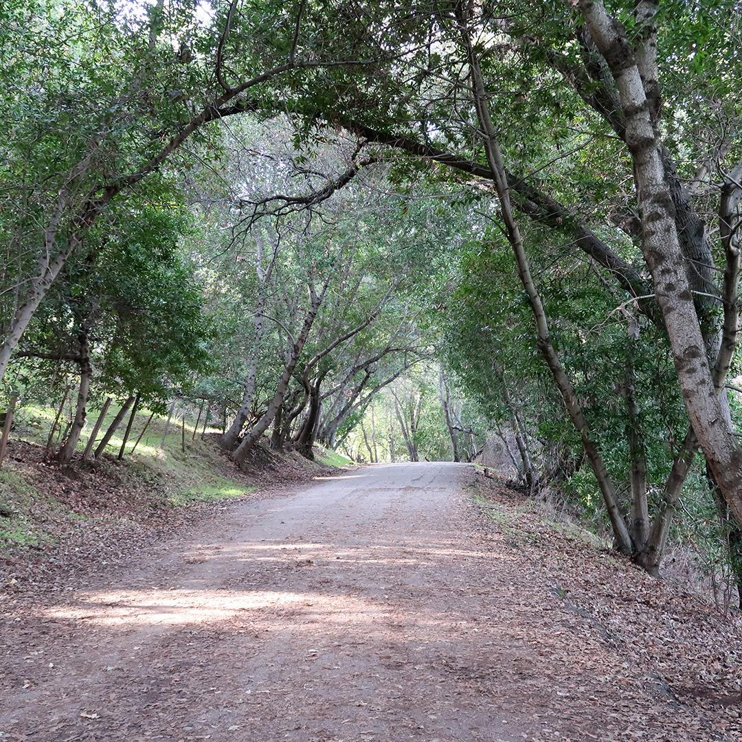quicksilver trail san jose