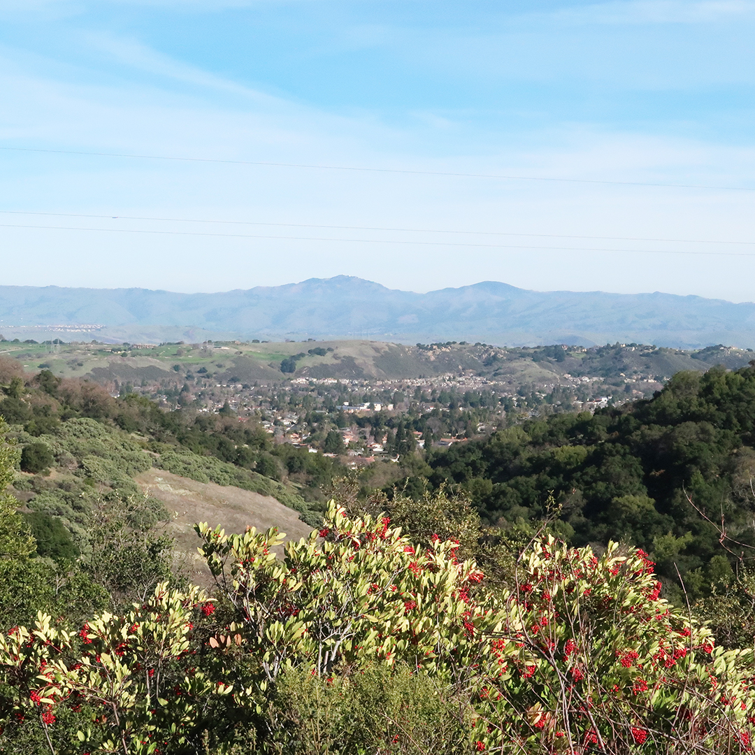 view silicon valley