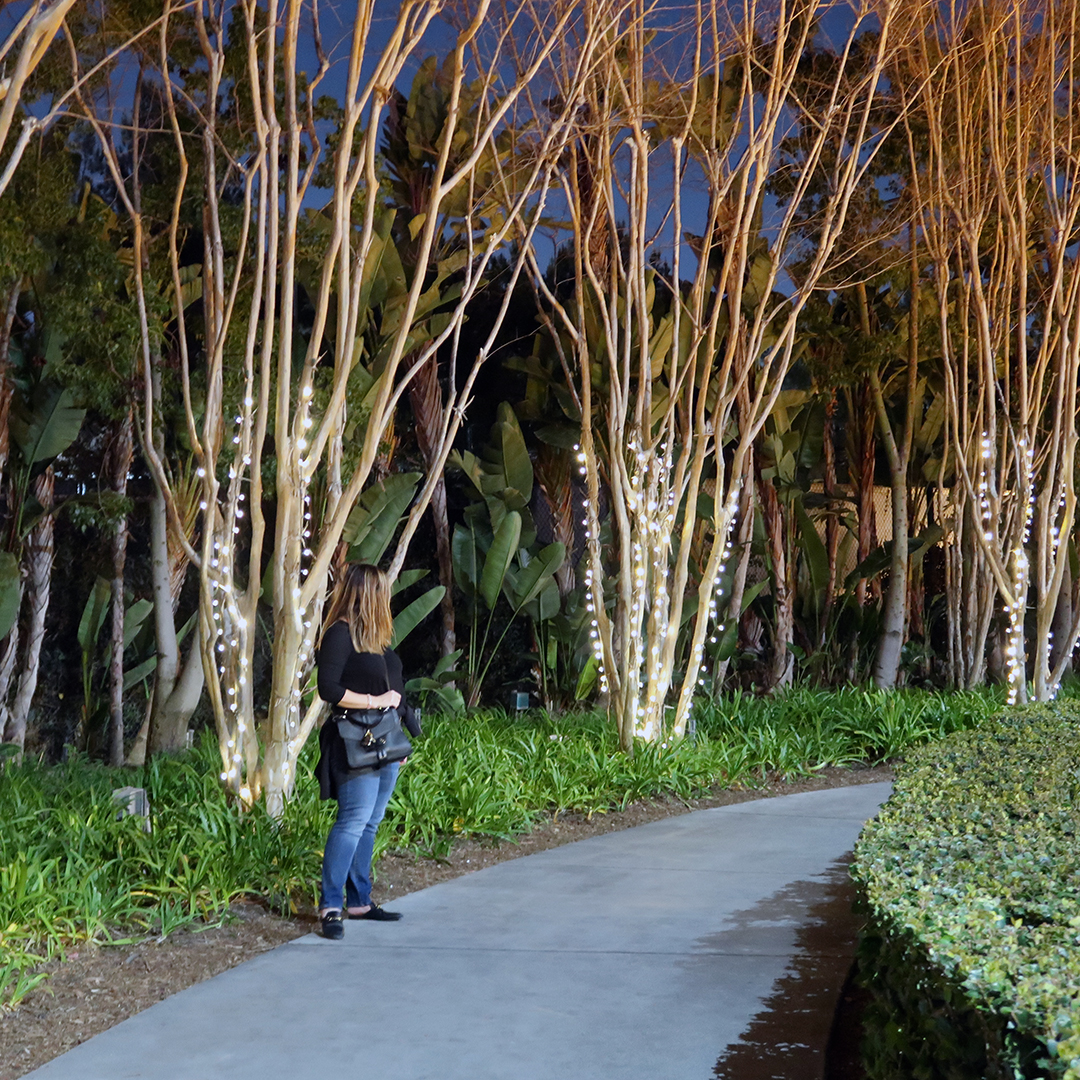walking to downtown disney