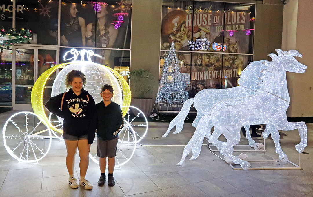 lunar light show garden walk