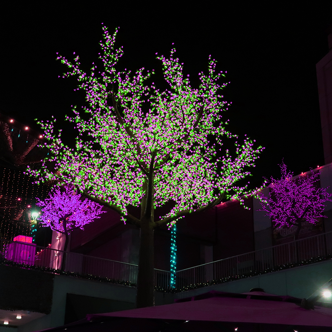 anaheim garden walk lunar light show