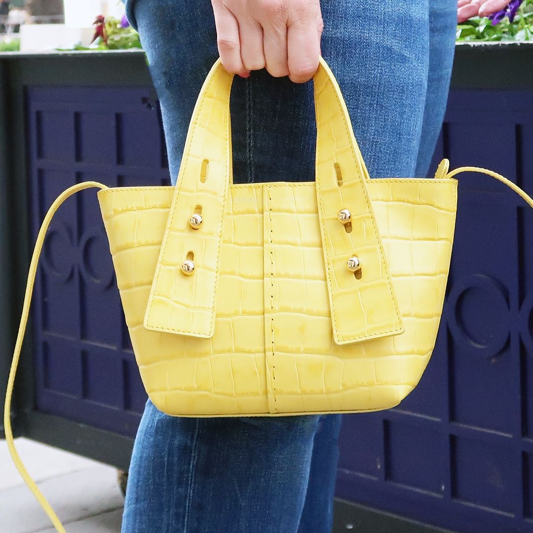 frame mini tote bag