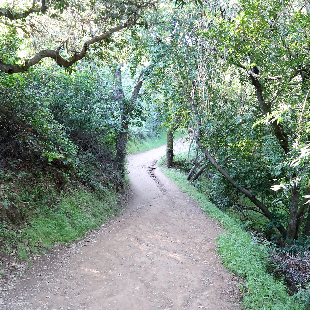 quicksilver park hacienda trail