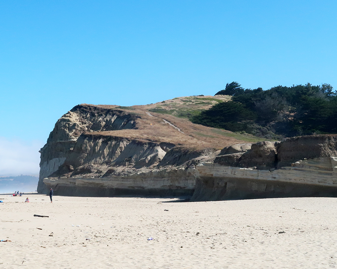 san gregorio state beach san mateo coast