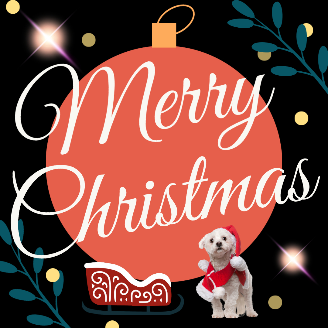 merry christmas 2021