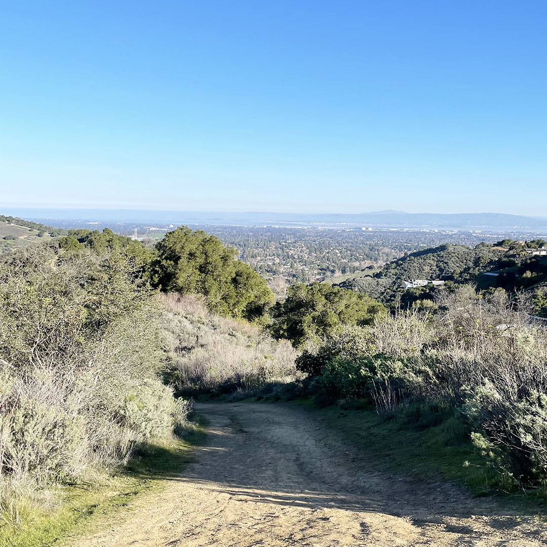 stevens canyon hiking trails stevens creek county park cupertino california