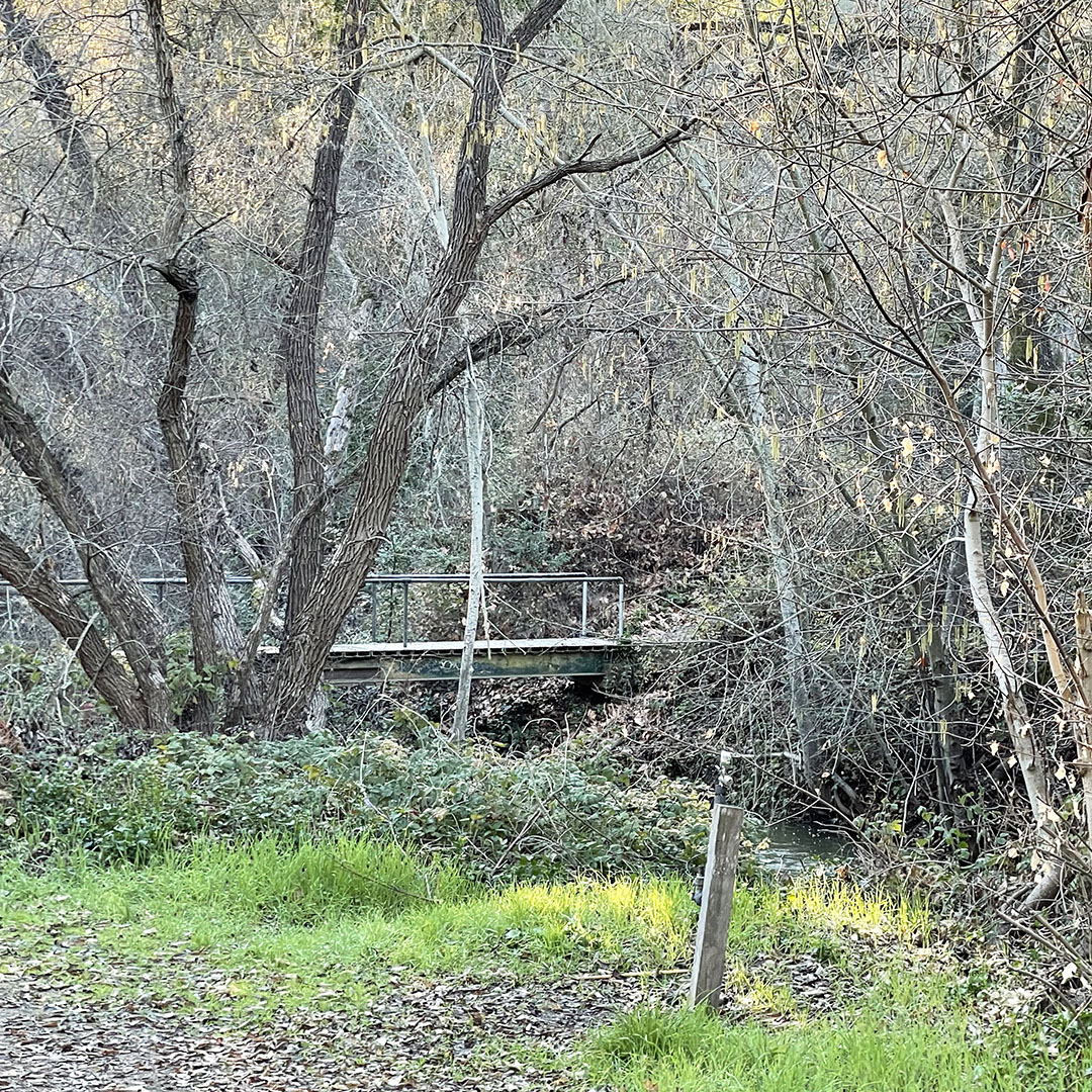 stevens creek county park hiking trails