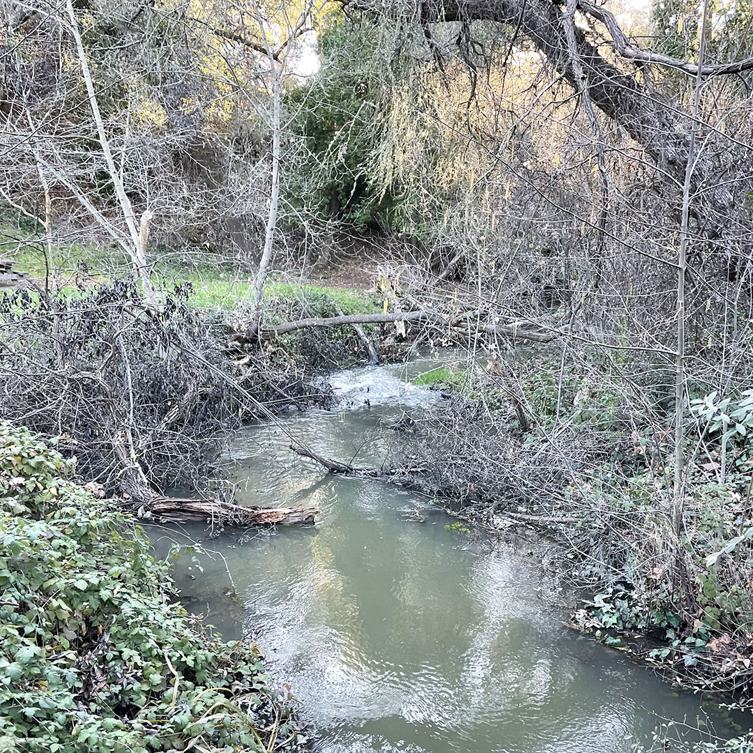 stevens creek county park hiking trails cueprtino