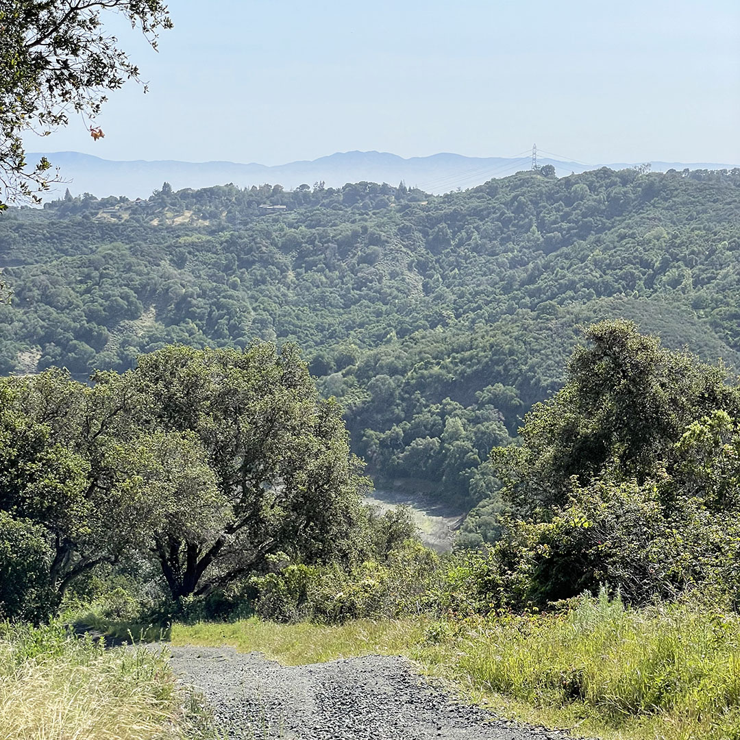 zinfandel trail cupertino