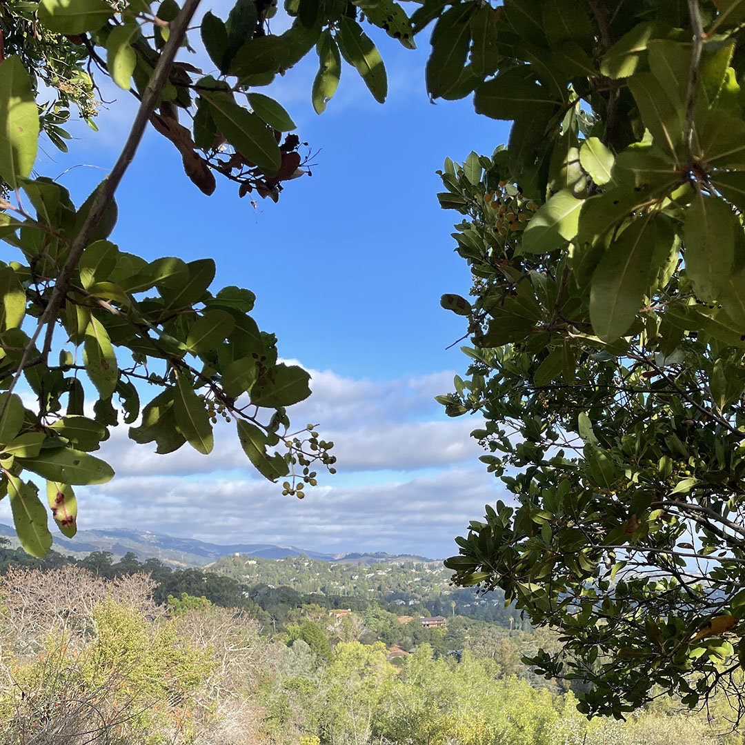 villa montalvo hiking trails