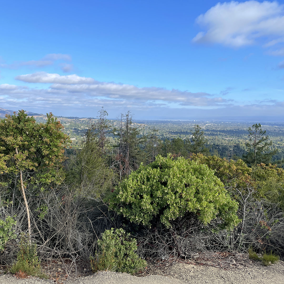 family friendly hiking trails bay area