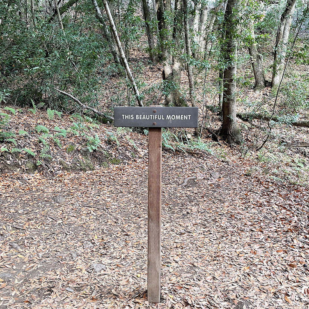 saratoga hiking tails art work
