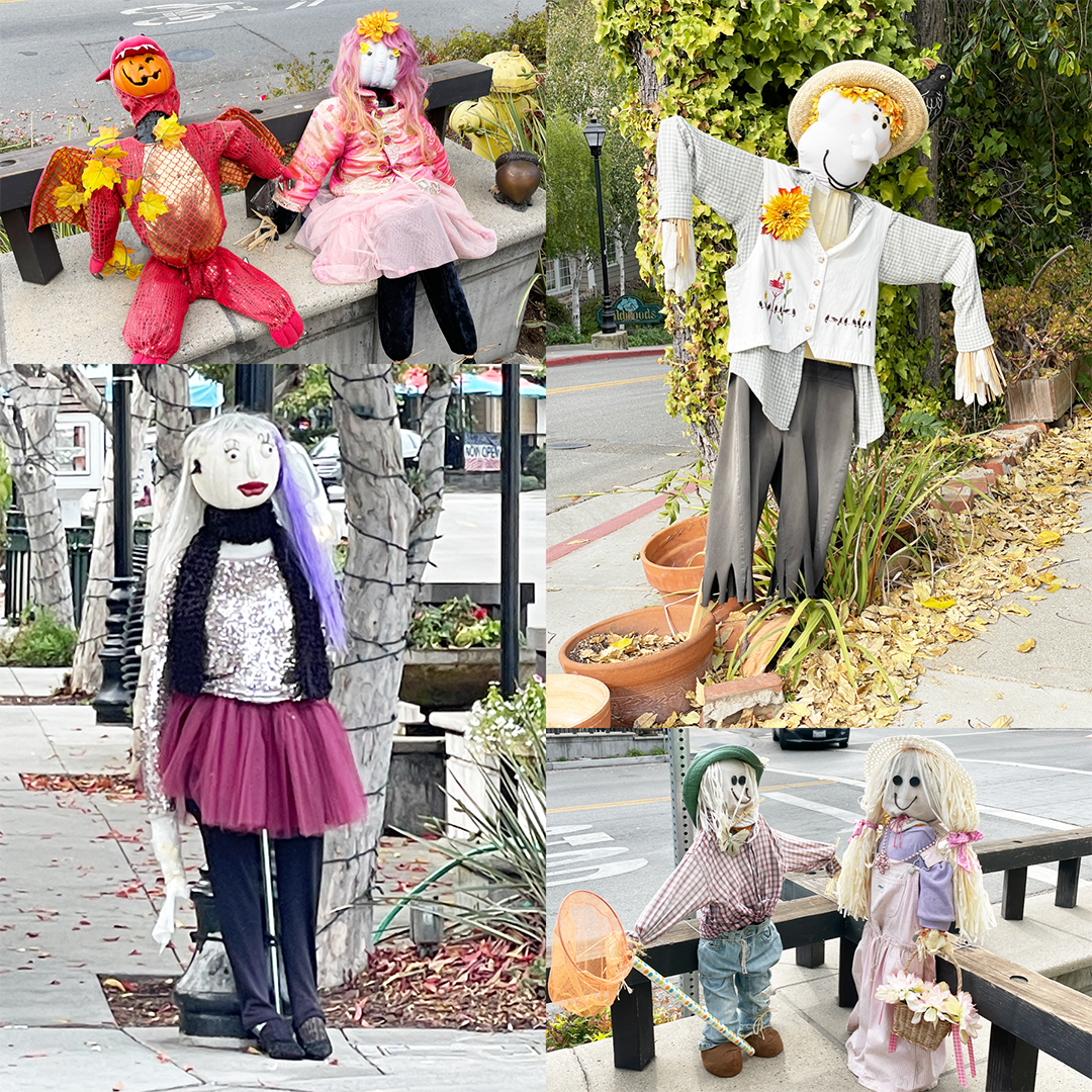 fall decorations saratoga california