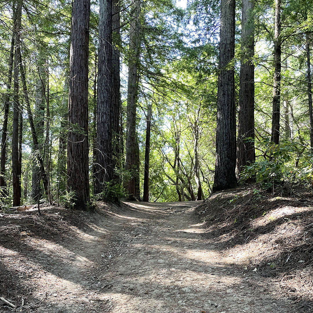 sanborn park hiking trails