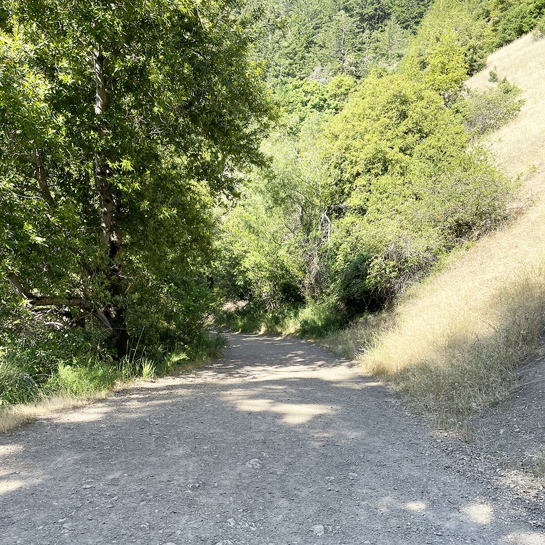 sanborn park hiking trails
