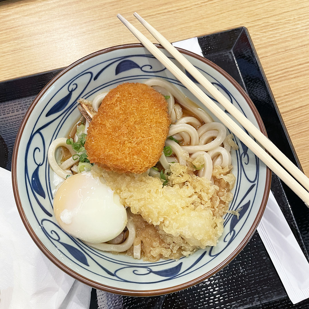 best udon san jose