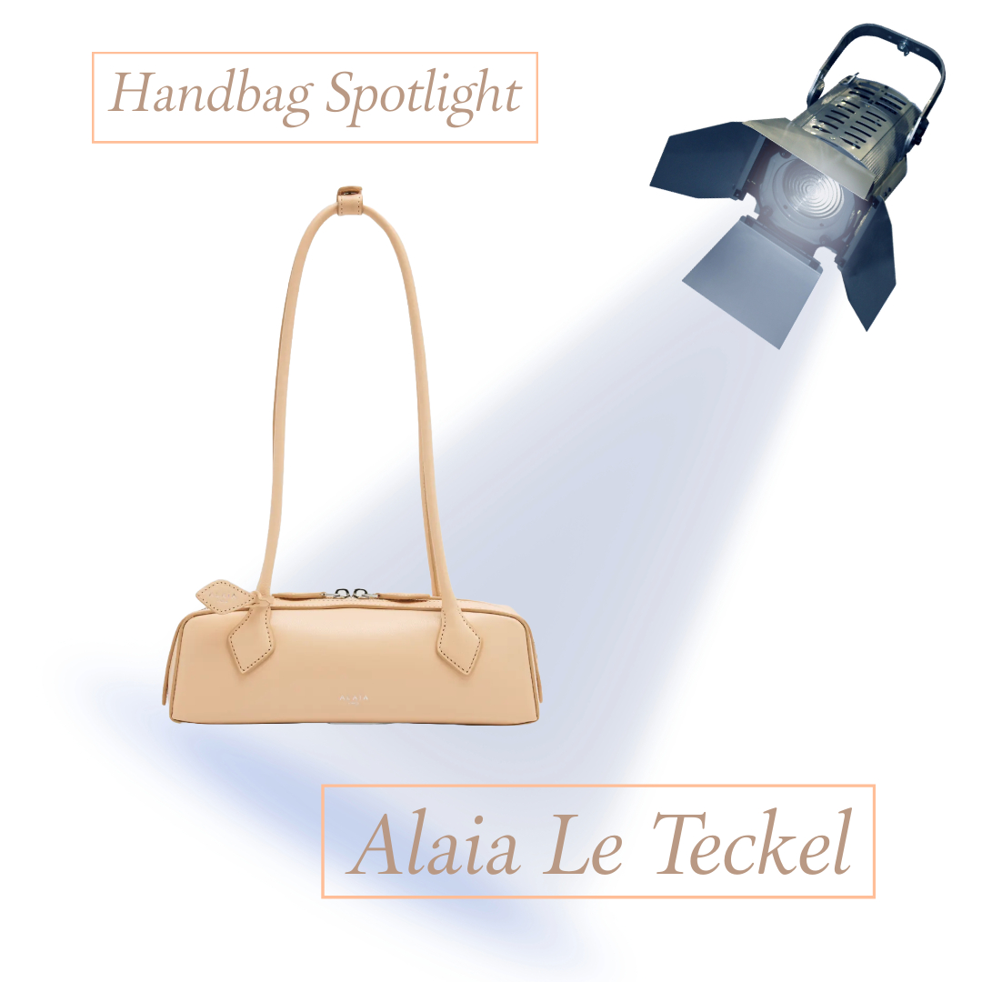 This image has an empty alt attribute; its file name is handbag-spot-light-alaia-satchel.jpeg