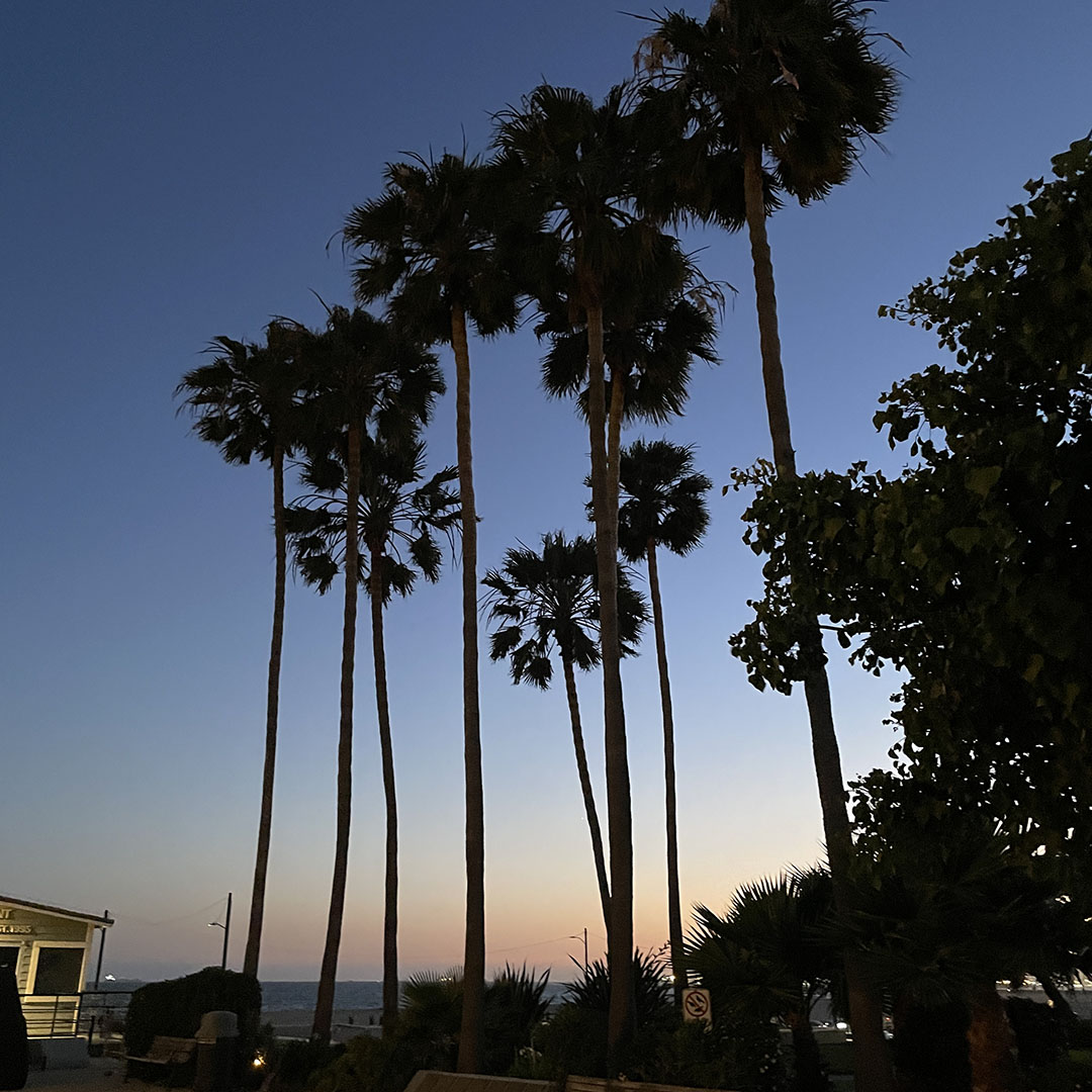 sunset seal beach