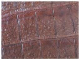 Hermes Leather Types-Caiman leather in matte vert bronze—bonier scales with white medial ridges, entry-level exotic for vintage pieces.