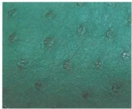 Hermes Leather Types-Ostrich leather in fuchsia—iconic quill bumps across the crown, soft oil-touched finish, once the rarest Hermès skin.